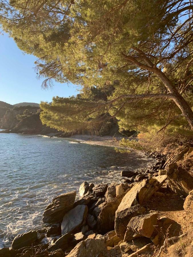 Villa Cavalaire Sur Mer 외부 사진